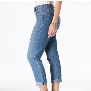 Style & Co Curvy Boyfriend Embroidered Jeans